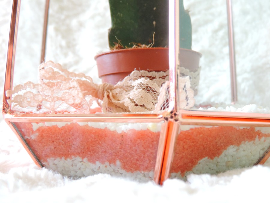 DIY Cactus terrarium